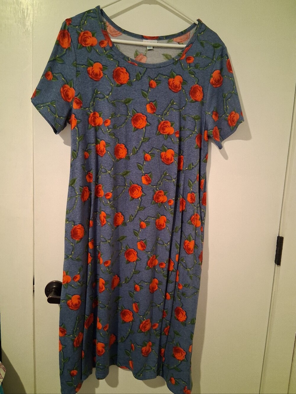 Lula Roe Blue Floral Short Sleeve Swing Dress with Red Roses